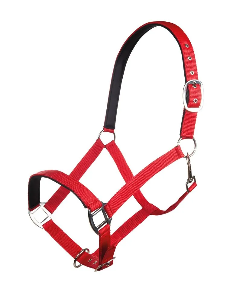 Ohlávka Charming HKM