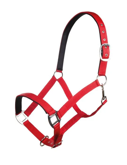 Ohlávka Charming HKM