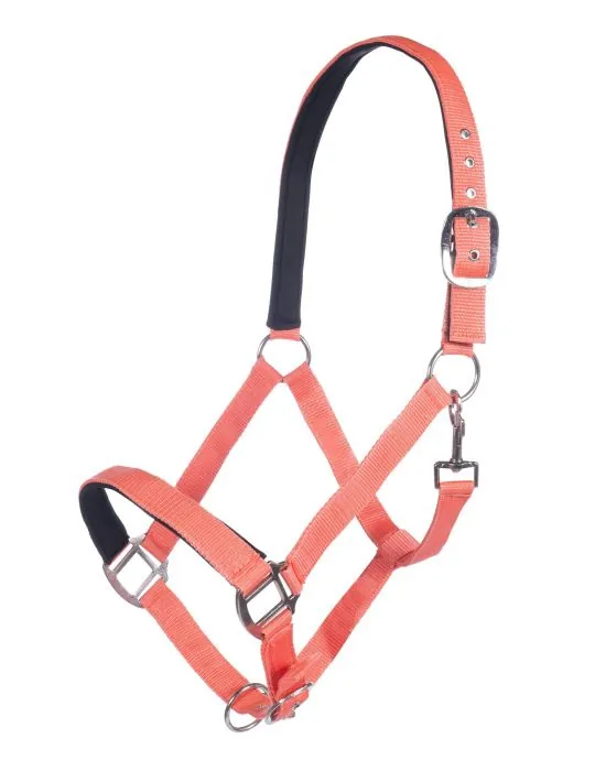 Ohlávka Charming HKM