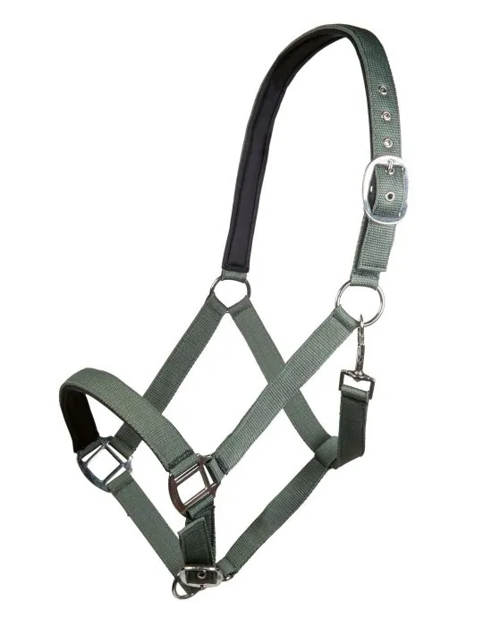 Ohlávka Charming HKM