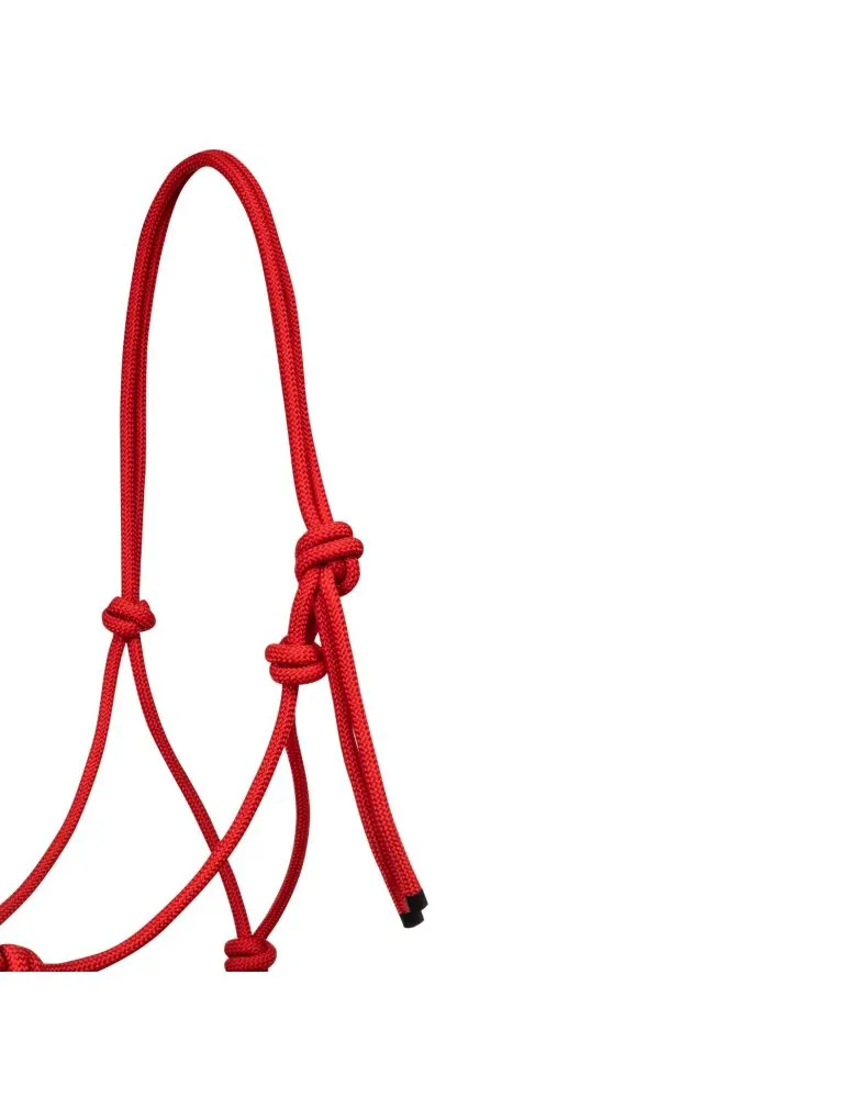 Navayo ohlávka s vodítkom