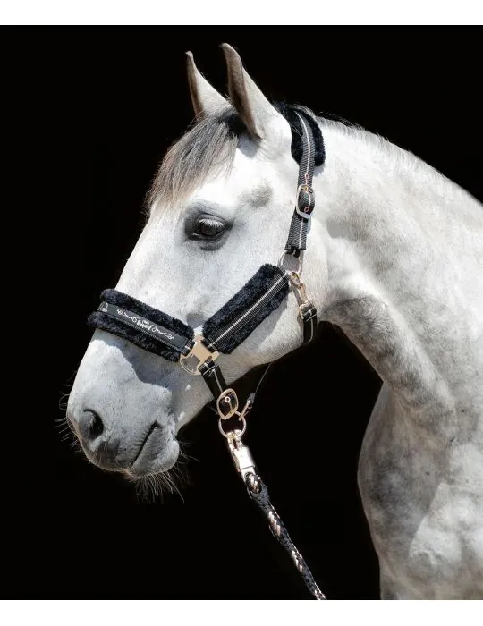 Ohlávka Rosegold HKM