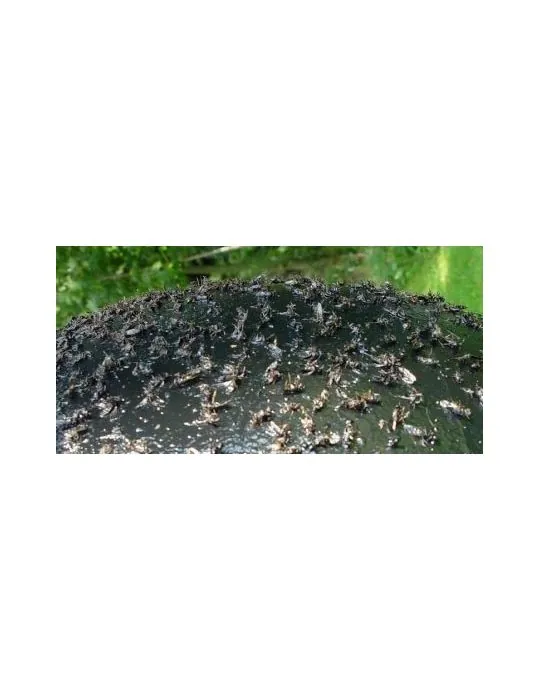 Lepidlo na ovady Sticky Trap 1,5l