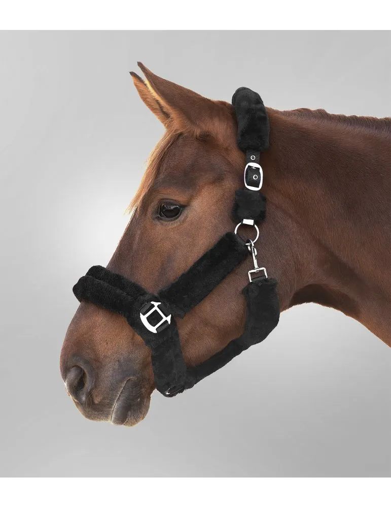 Ohlávka Cozy Waldhausen