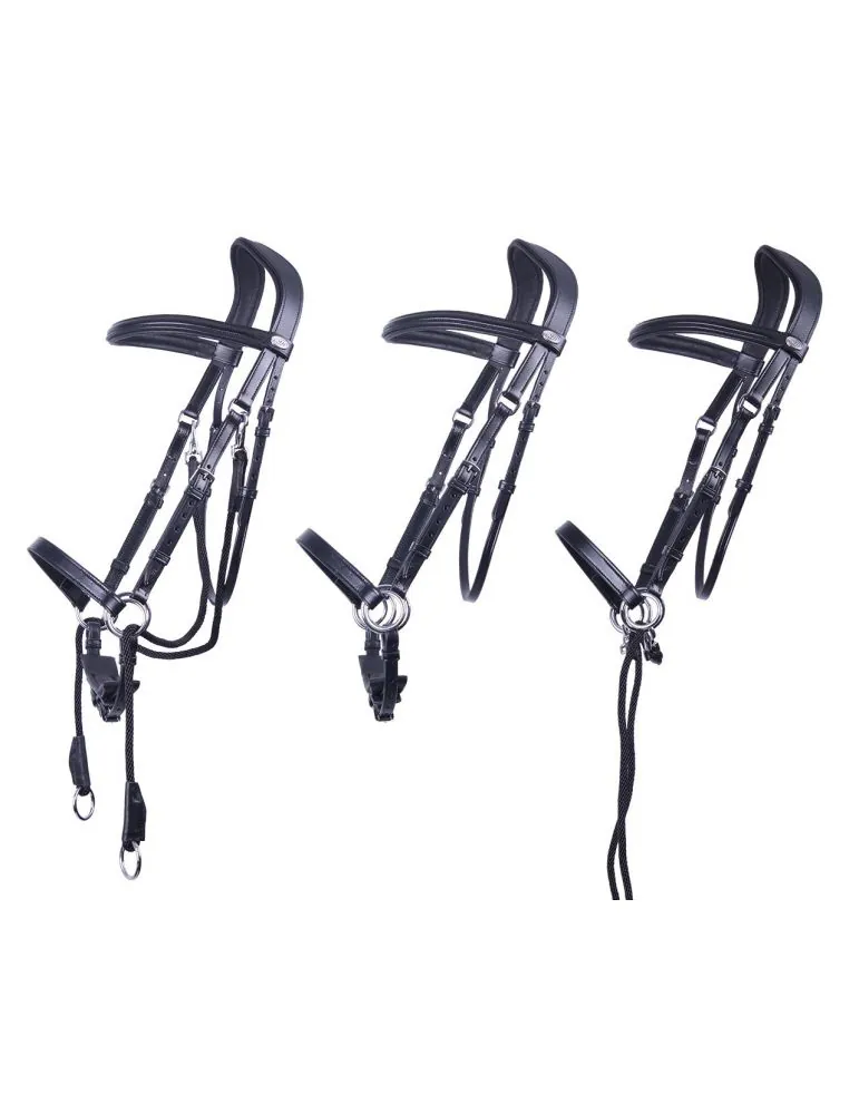 Bezzubadlová uzdečka Ceto QHP