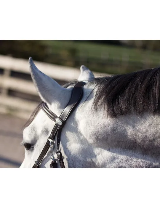 Bezzubadlová uzdečka Ceto QHP