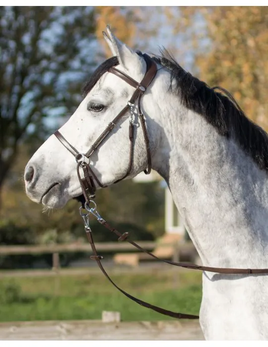 Bezzubadlová uzdečka Ceto QHP