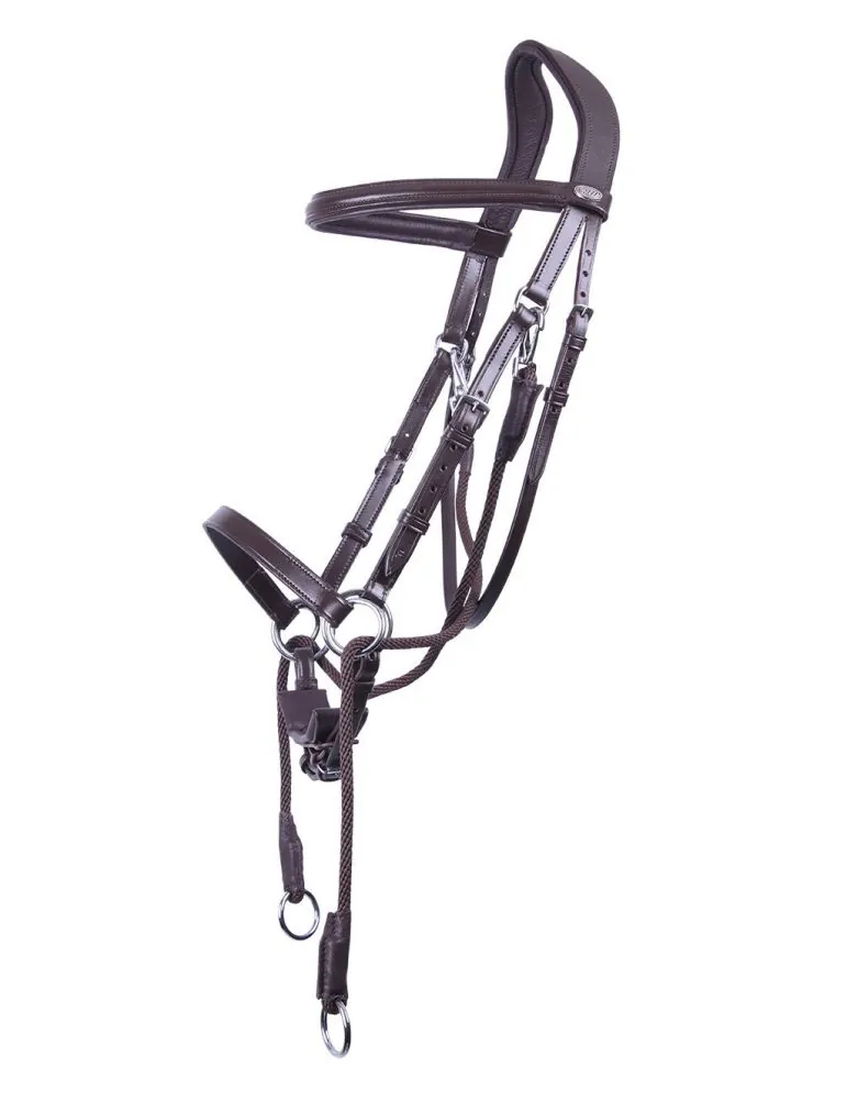 Bezzubadlová uzdečka Ceto QHP