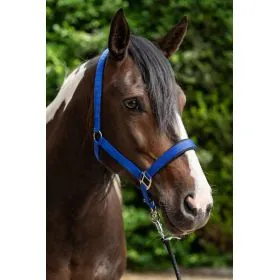 Ohlávka Breakaway 2 HKM 2