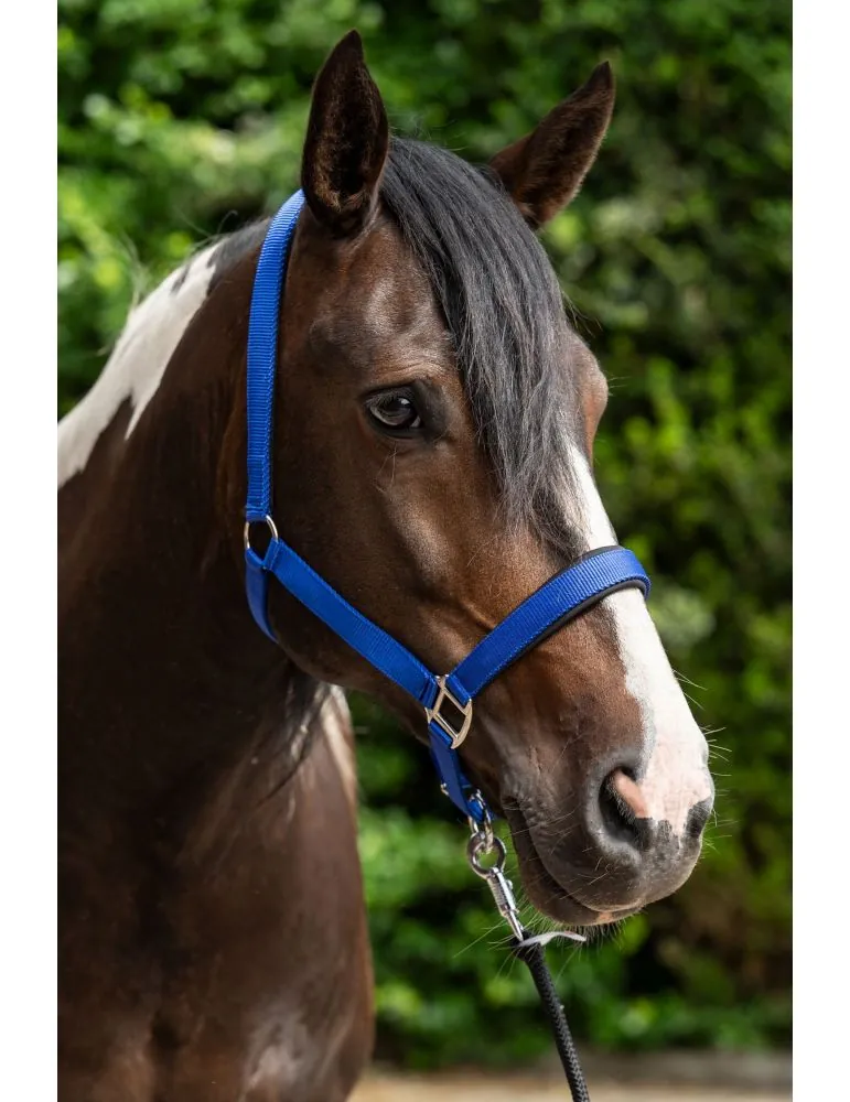 Ohlávka Breakaway 2 HKM