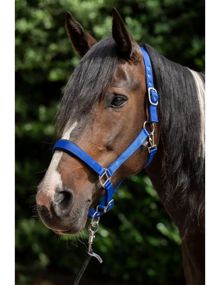 Ohlávka Breakaway 2 HKM