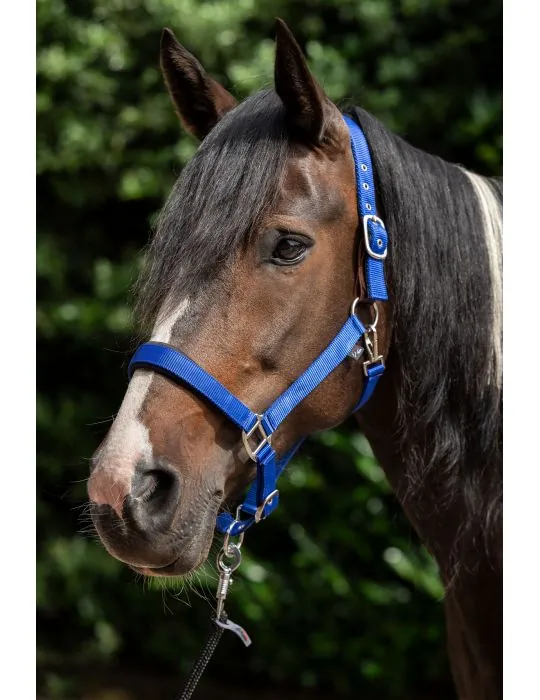 Ohlávka Breakaway 2 HKM