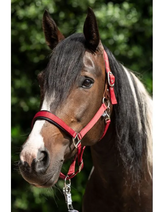 Ohlávka Breakaway 2 HKM