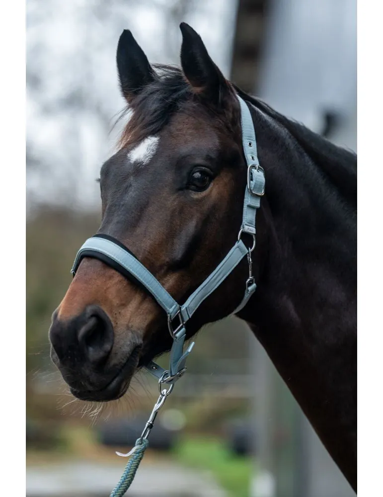 Ohlávka Catherine HKM