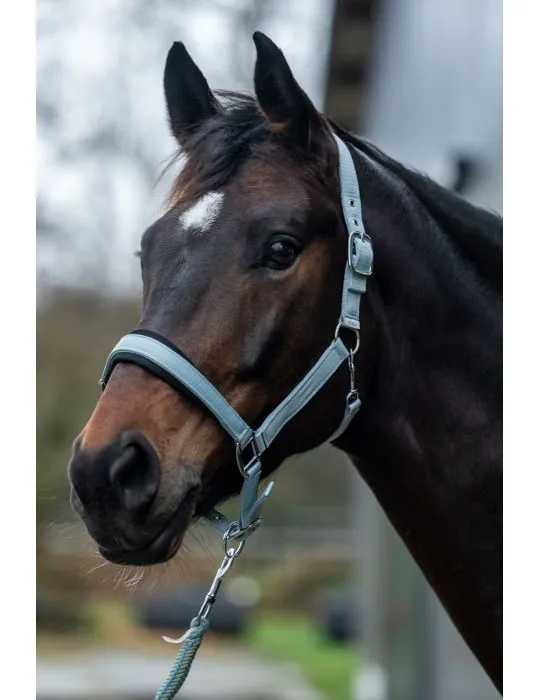 Ohlávka Catherine HKM