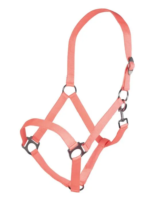 Ohlávka Stars Economy Softice HKM