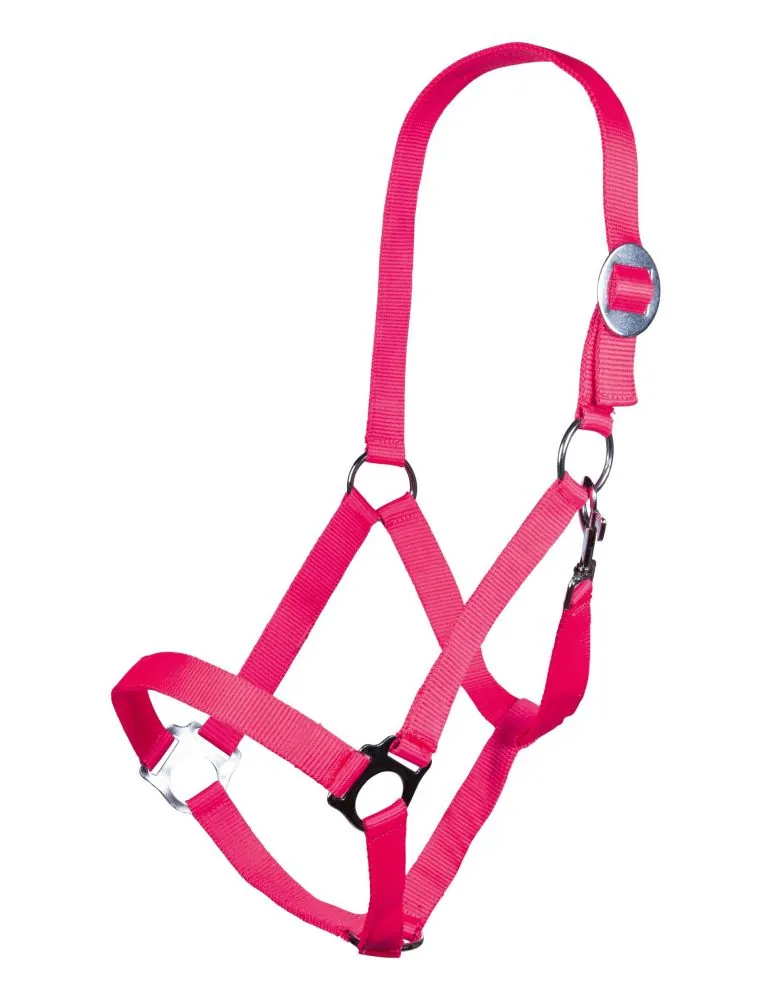 Ohlávka Stars Economy Softice HKM