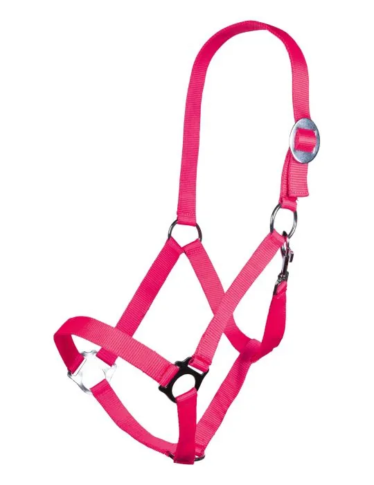 Ohlávka Stars Economy Softice HKM