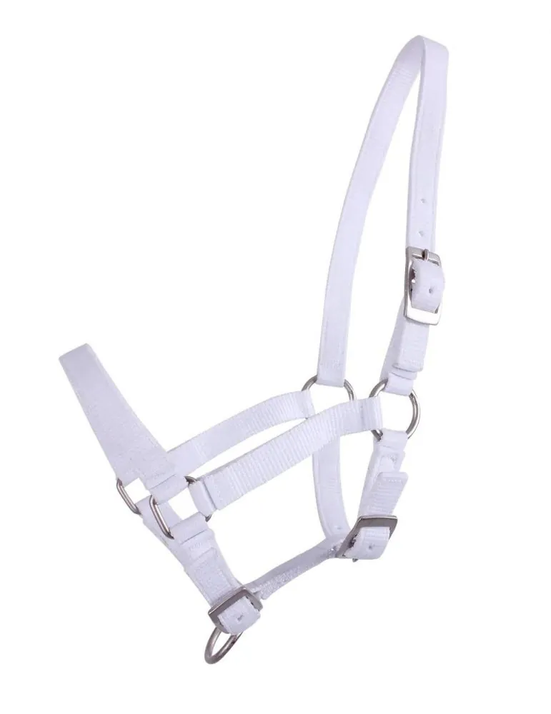 Ohlávka pre žriebätá QHP