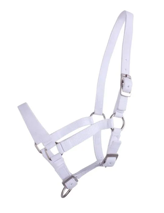 Ohlávka pre žriebätá QHP