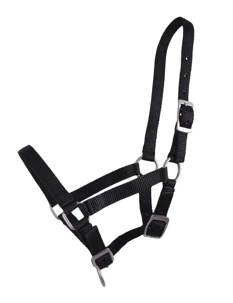 Ohlávka pre žriebätá QHP