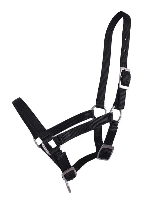 Ohlávka pre žriebätá QHP