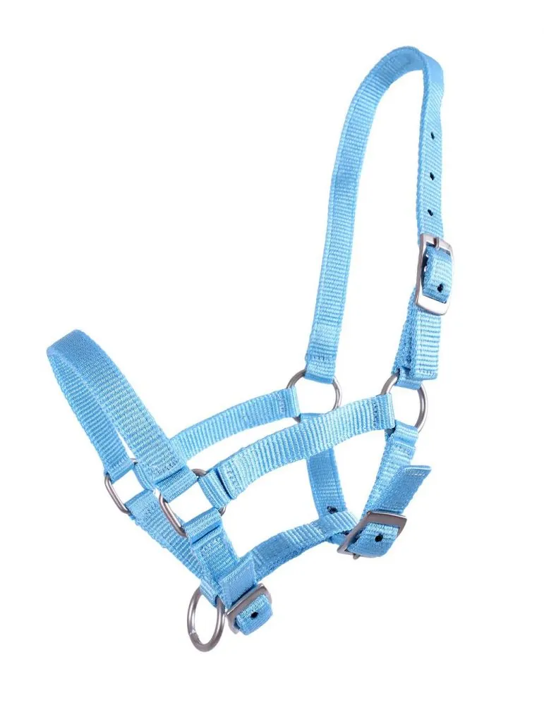 Ohlávka pre žriebätá QHP