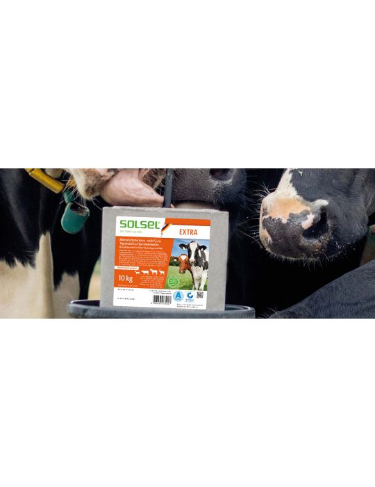 SOLSEL EXTRA soľ pre dobytok a kone 10kg