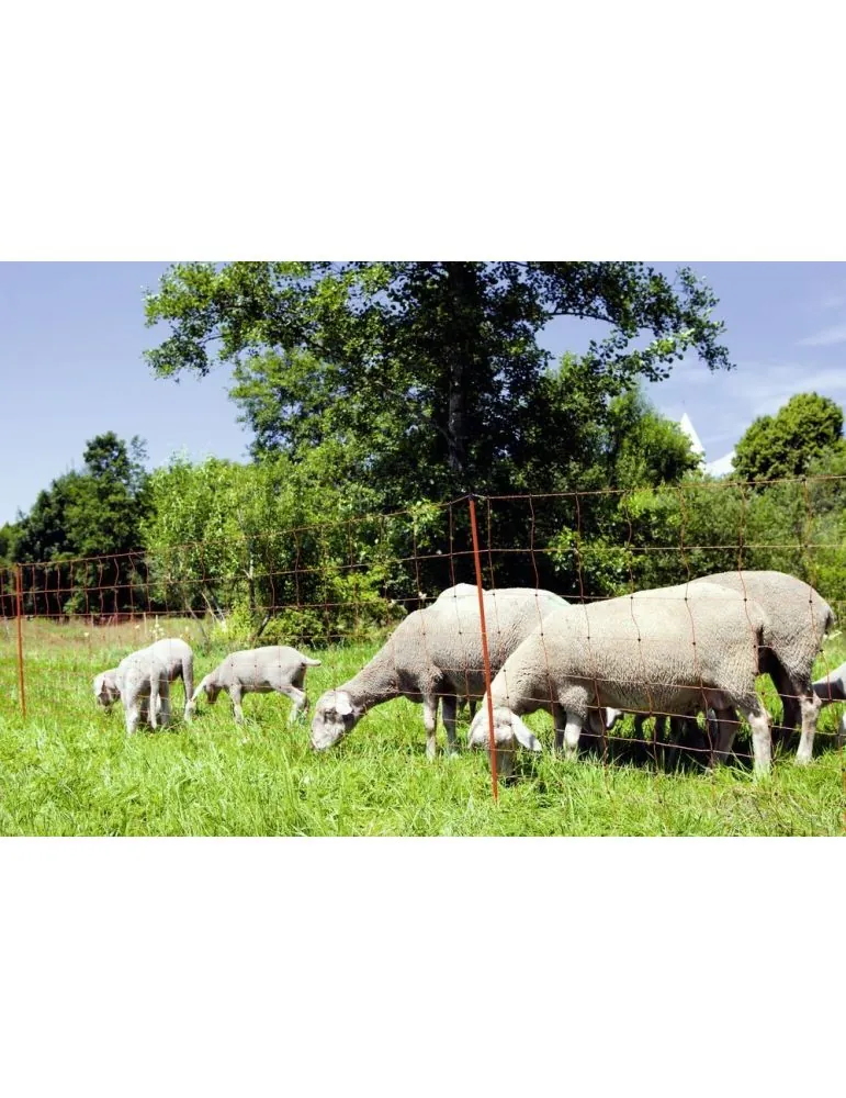 Sieť pre ovce 108cm dvoma špicami