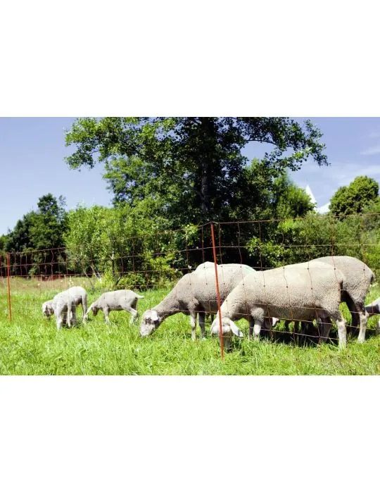 Sieť pre ovce 108cm dvoma špicami
