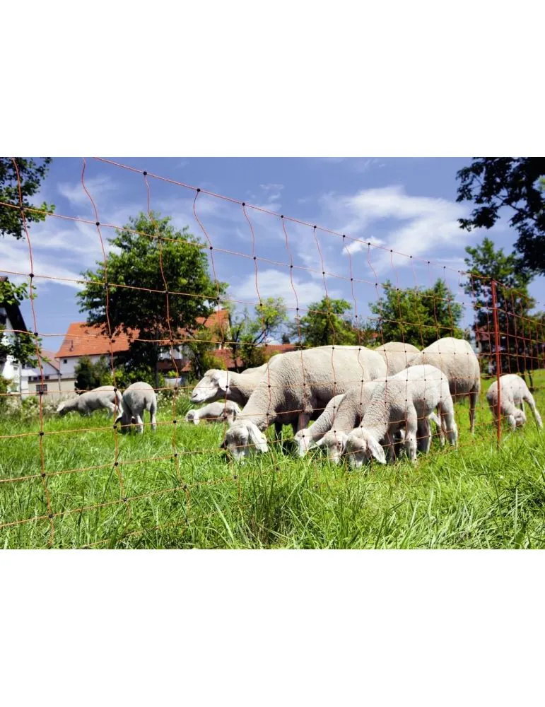 Sieť pre ovce 108cm dvoma špicami