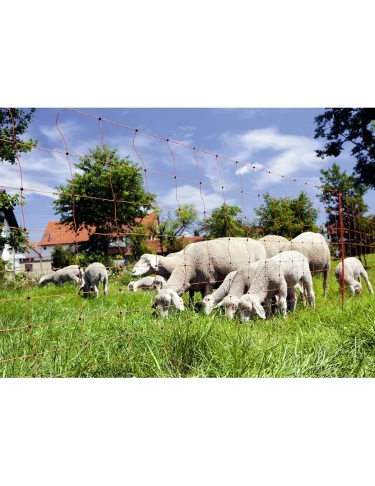 Sieť pre ovce 108cm dvoma špicami