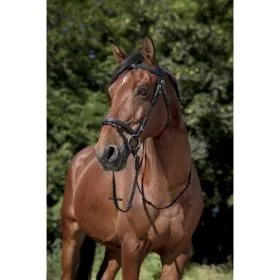 Norton uzda cob hneda 301054018