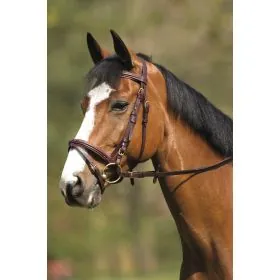 Norton uzda cob hneda 301054018 2