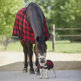 Fleesova deka Lumberjack Tree Feller red/black 2