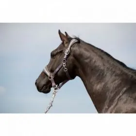 Ohlávka HKM Mondiale 2